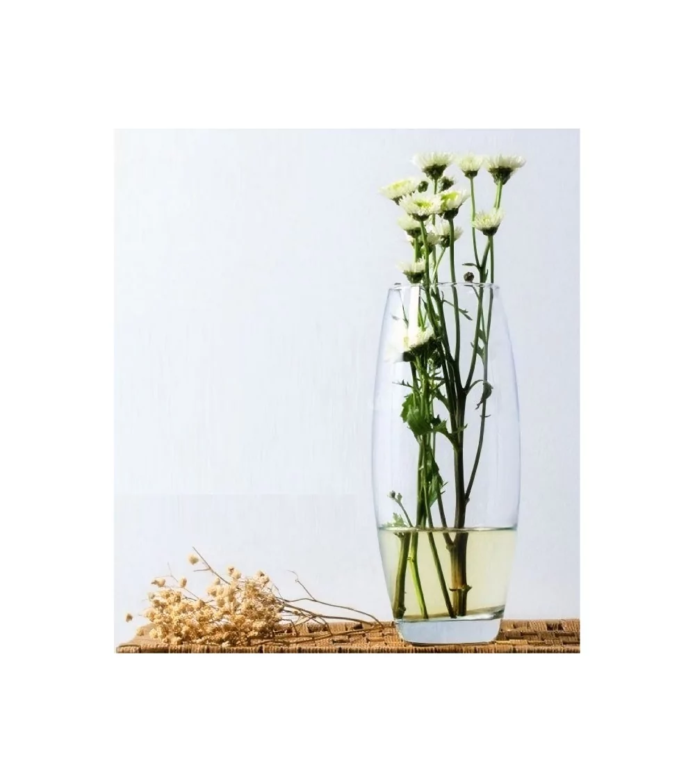 VASE BOTANICA BOMBE FH 26 CM