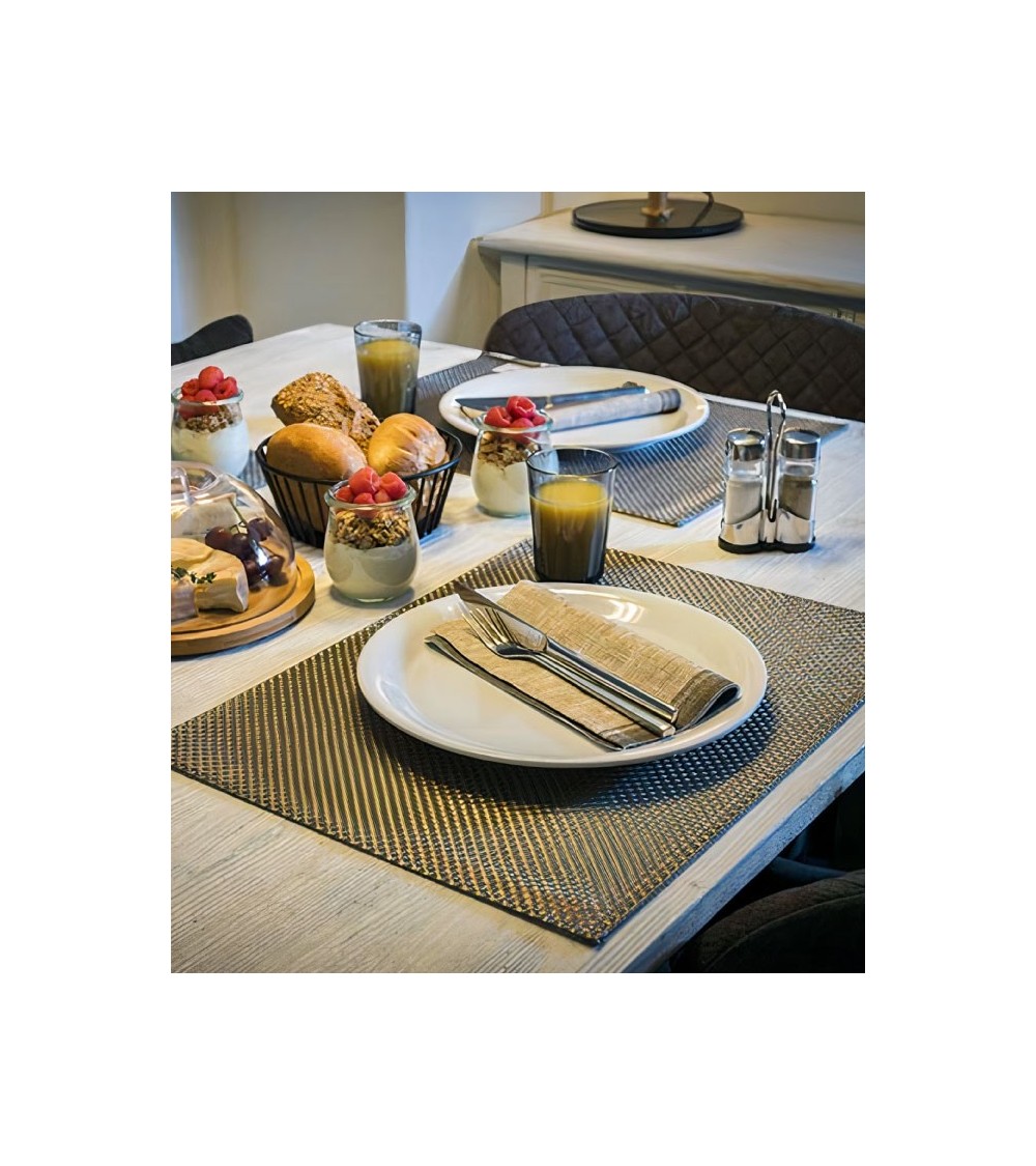 SET DE TABLE EN PVC PALTINUM 45 x 33 CM TRESSAGE ETROIT