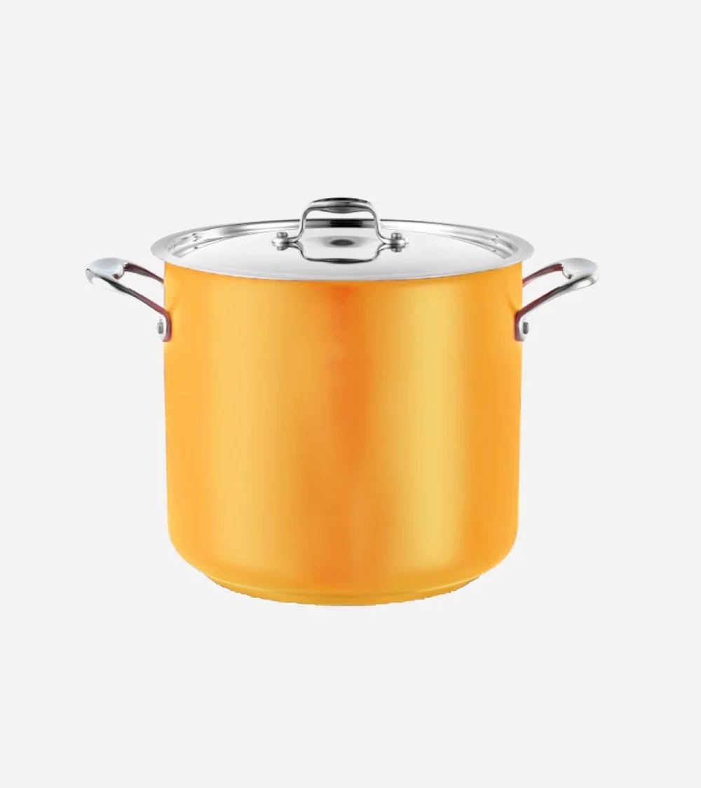 MARMITE TRAITEUR Ø 24 CM AVEC COUVERCLE COOL LINE JAUNE