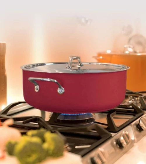 FAITOUT AVEC COUVERCLE Ø 24 CM COOL LINE ROUGE