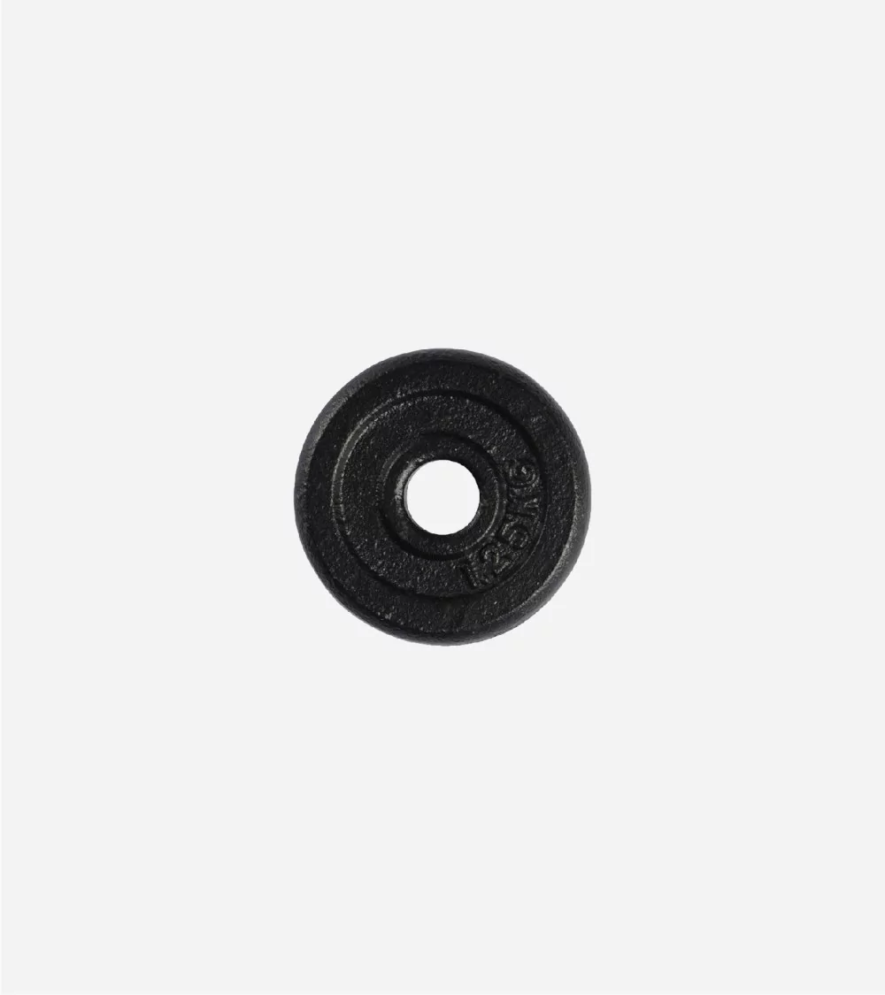 DISQUE PAINT FONTE/1.25KG
