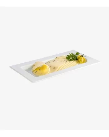 PLATEAU EN PORCELAINE GN 1/2 H:2CM