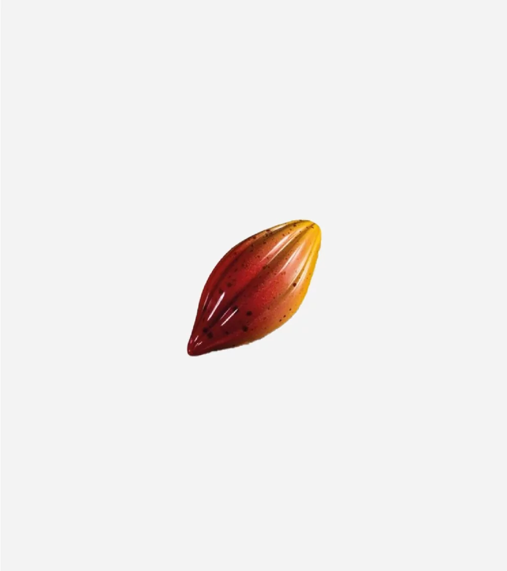 MOULE CHOCOLAT PRALINE "M1018"