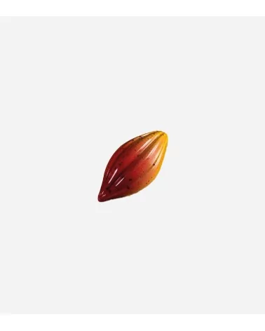 MOULE CHOCOLAT PRALINE "M1018"