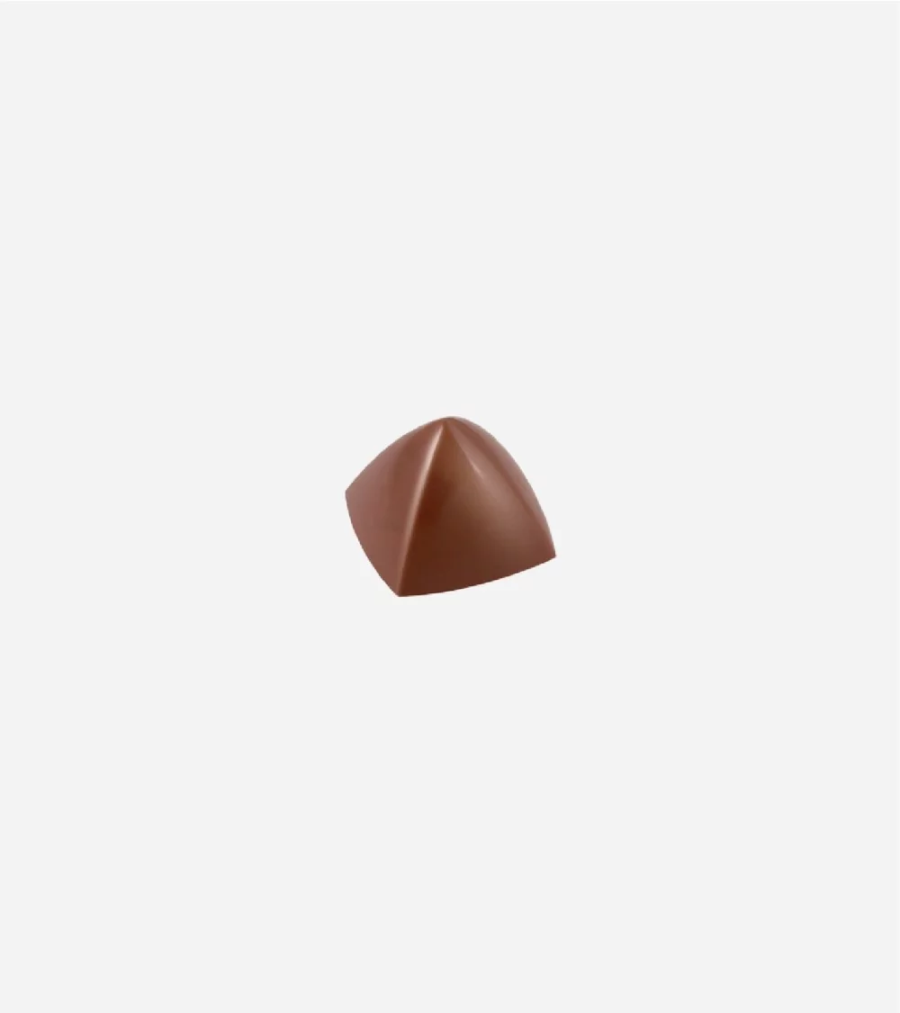 MOULE CHOCOLAT PRALINE "M1972"