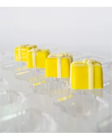 MOULE CHOCOLAT PRALINE "M1991"