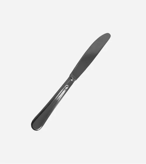 COUTEAU DE TABLE INOX 2 Pces ANTARTI
