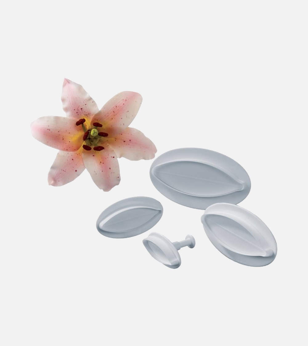 SET 4 MOULES SILICONE ET DECOUPOIRS LILY FLEUR