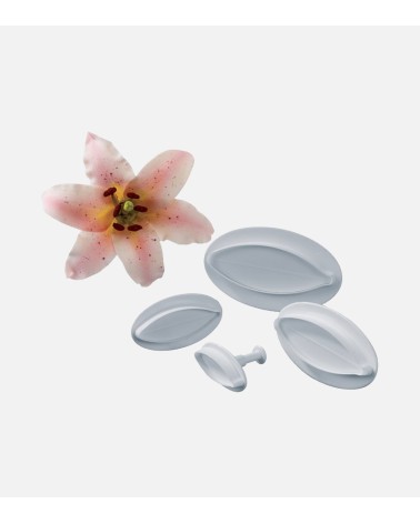 SET 4 MOULES SILICONE ET DECOUPOIRS LILY FLEUR