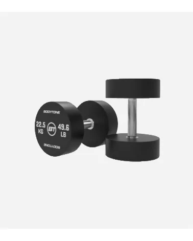 PAIRE HALTERES 22.5KG