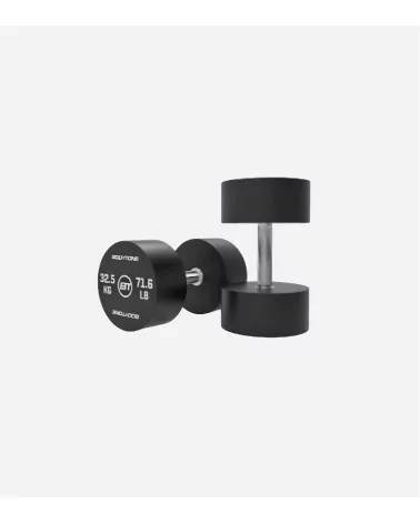 PAIRE HALTERES 32.5KG BEH TUNISIE