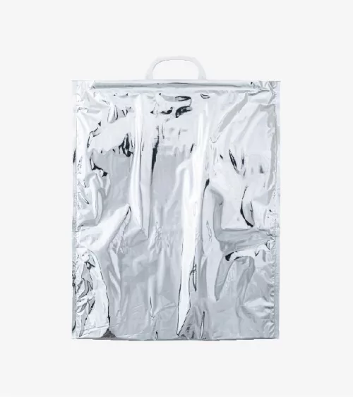 SACHET ISOTHERME BR NEUTRE 30*30CM