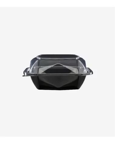 OCTAVIEW APET BK/TR 150x150x70