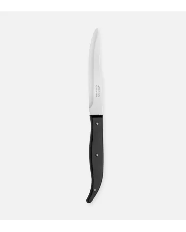 COUTEAU À STEAK MANCHE PLASTIQUE BEH TUNISIE