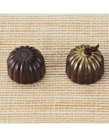 MOULE CHOCOLAT PRALINE "M1530"