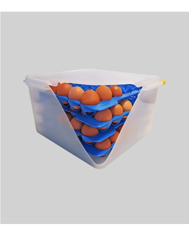 D'OEUFS