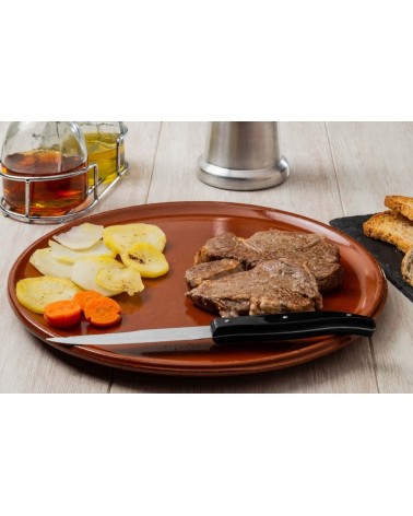 COUTEAU À STEAK MANCHE PLASTIQUE