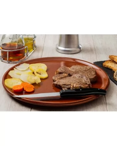 COUTEAU À STEAK MANCHE PLASTIQUE