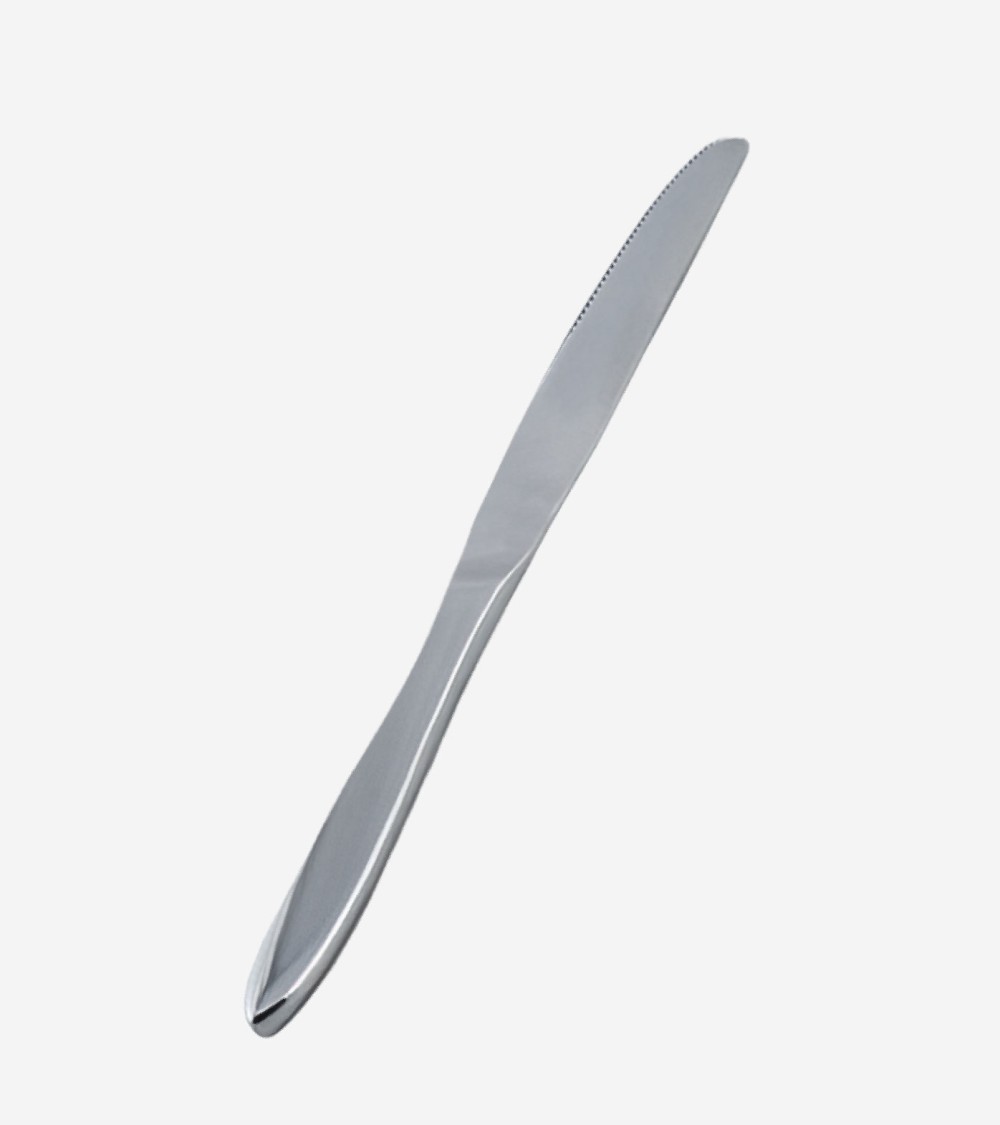 COUTEAU DE TABLE EN INOX 18/10 TENDANCE BEH TUNISIE