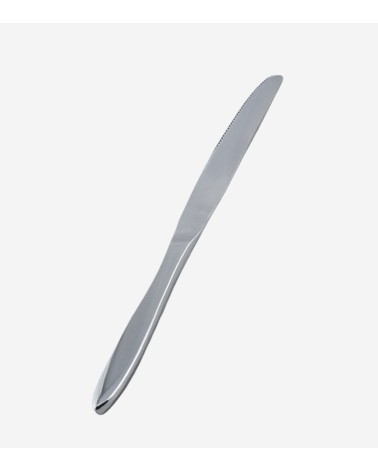 COUTEAU DE TABLE EN INOX 18/10 TENDANCE BEH TUNISIE