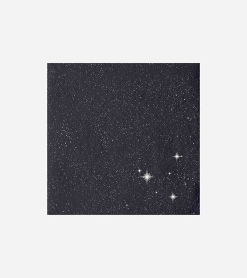 DUNILIN BRILLANCE 40 × 40 BLACK 12 × 50 BEH TUNISIE