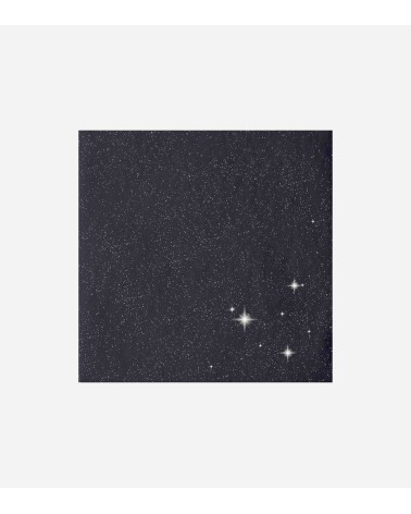 DUNILIN BRILLANCE 40 × 40 BLACK 12 × 50 BEH TUNISIE
