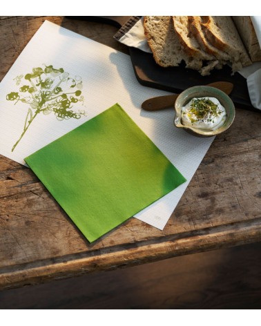DUNISOFT 40 × 40 HERBAL GREEN 12 × 60 BEH TUNISIE